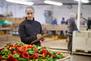 Shot of a focused young factory working doing quality control in a vegetable processing plant